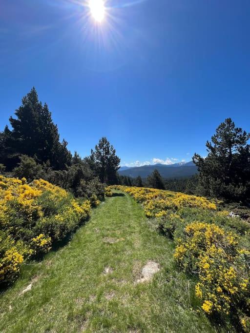 Cosy Au Pied Des Pistes Avec Vue Apartment Les Angles (Pyrenees-Orientales)